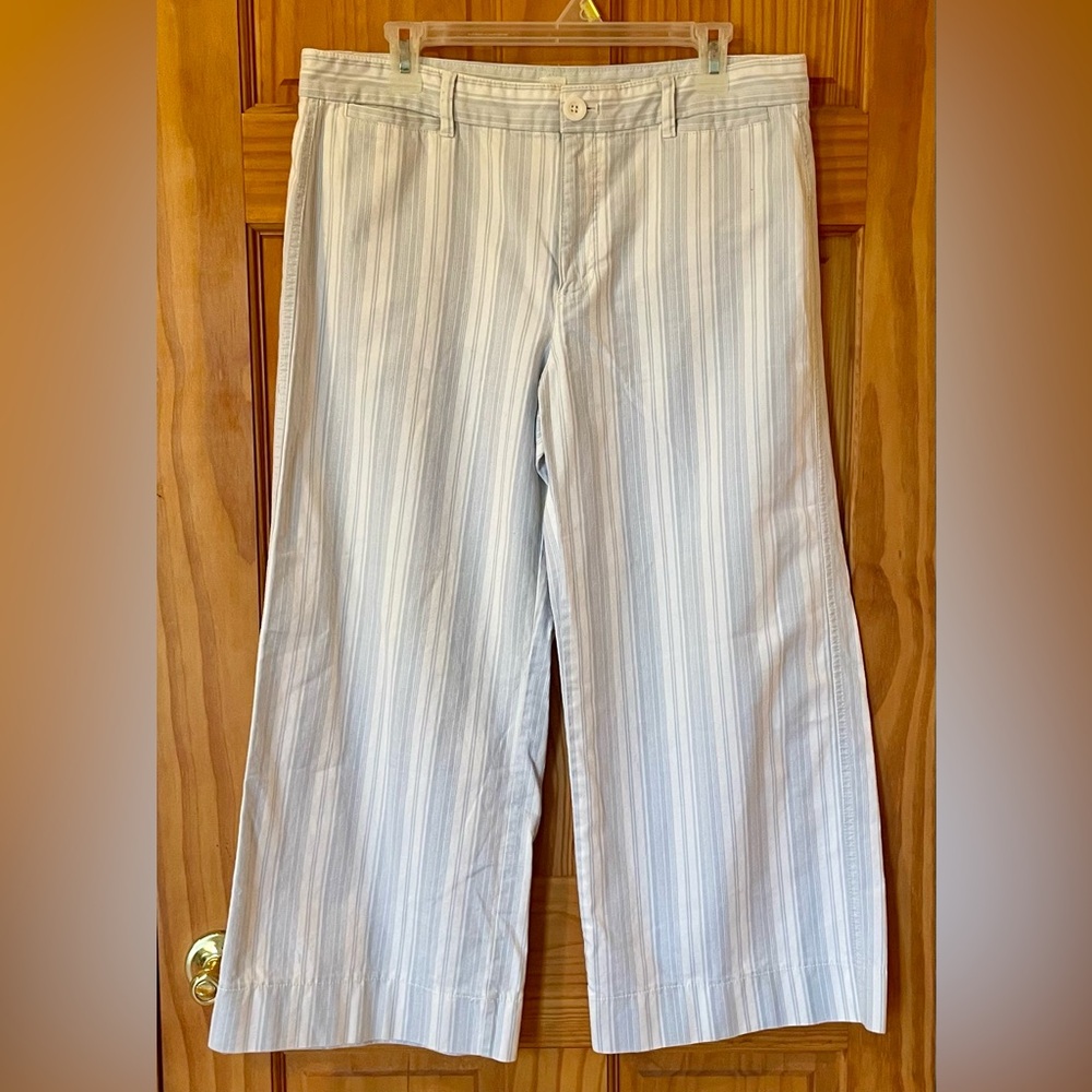 GAP Blue and White Striped Cropped Pants